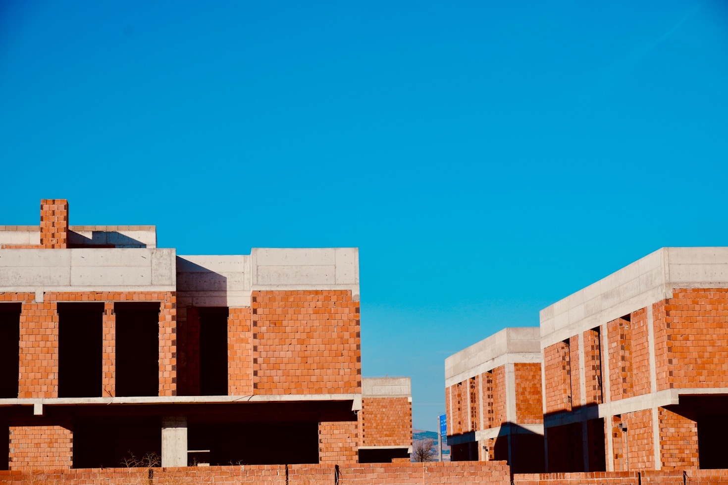 Data-Driven Strategies for Advocacy Campaigns